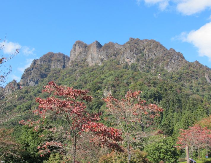 山