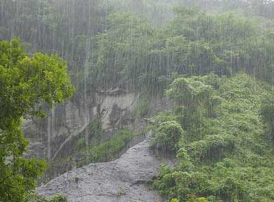 雨